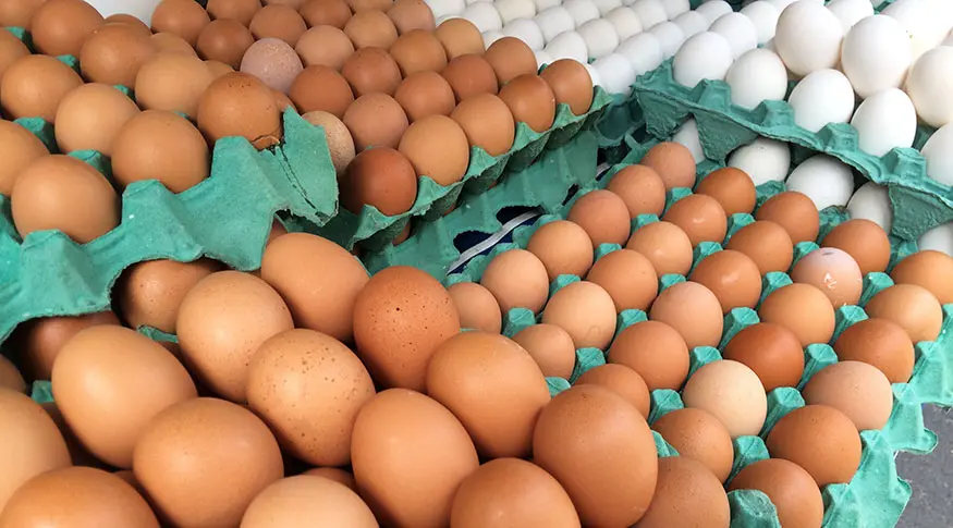 Aumento do Preço dos Ovos: Dicas de Culinária e Saúde para Aproveitar ao Máximo
