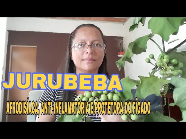 Jurubeba é Afrodisíaco: Descubra Seus Segredos Surpreendentes!