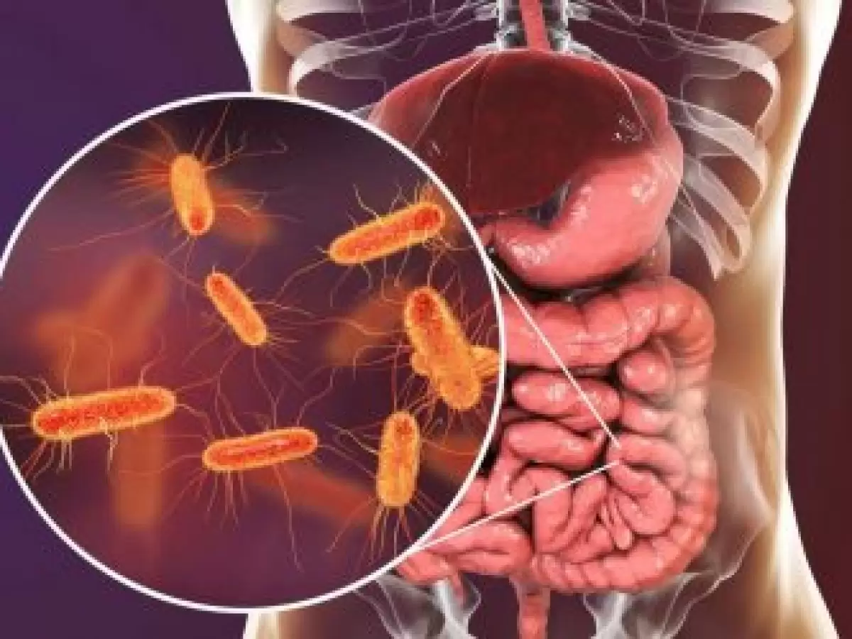Microbiota Intestinal