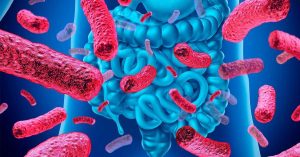 Como Melhorar a Saúde da Microbiota Intestinal