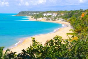 Como Aproveitar o Melhor de Trancoso: Dicas, Passeios e Serviços de Transfer